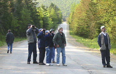 Birders lined up to see a rate sight on this trip—a raptor