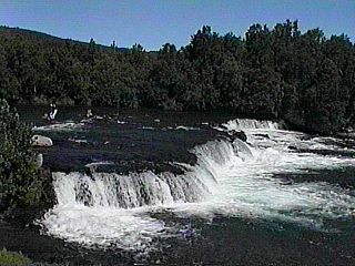 Brooks Falls