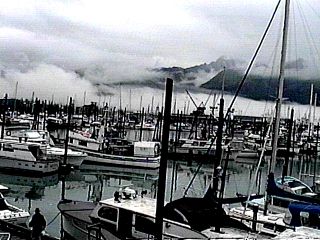 Seward in the fog