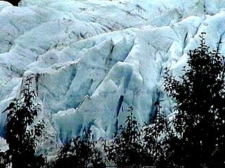 Exit Glacier