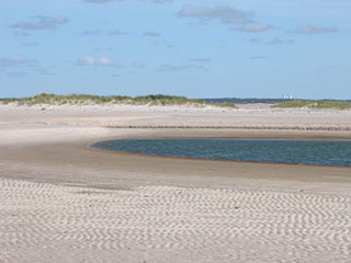 South Beach, Cape Cod