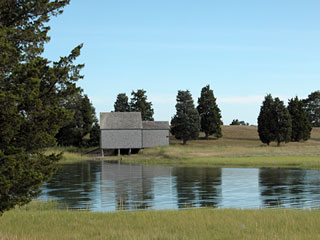 At the Nauset Marsh Trail