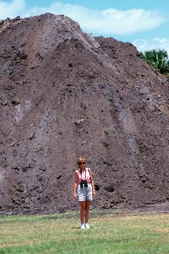 YR and the Giant Fire Ant Hill