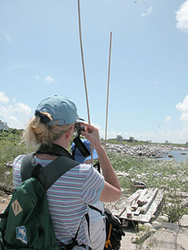 Joan soon after we arrived at Great Gull Island