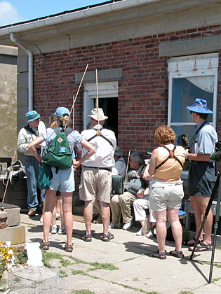 The group with sticks to keep the terns away