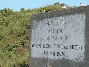 Great Gull Island is a research station of the American Museum of Natural History