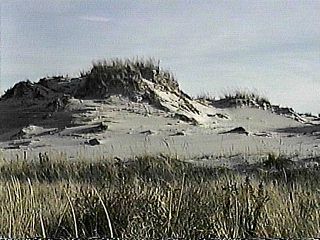 Dunes at Jones Beach, NY