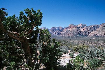 Red Rock Canyon