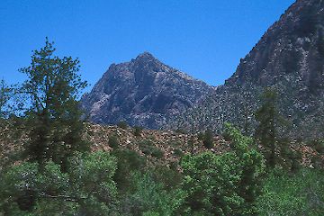 Along the Pine Creek Canyon Trail