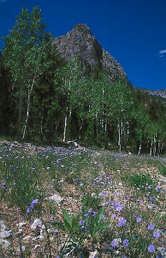 Cathedral Rocks