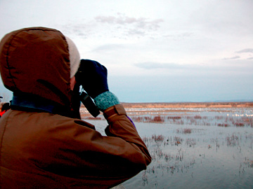 Joan at Bosque del Apache NWR as the temperature went down