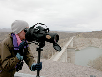 Elephant Butte Dam in Background