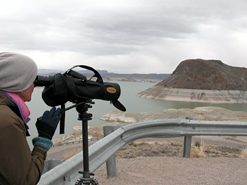 Joan at Elephant Butte, New Mexico