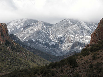 Cave Creek Canyon