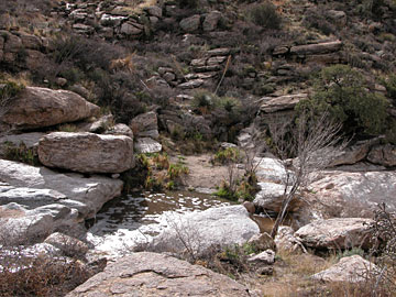 Mount Lemmon, Arizona