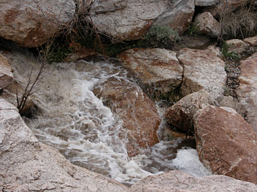 Mount Lemmon Stream