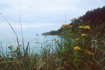 View from Bowman Bay State Park