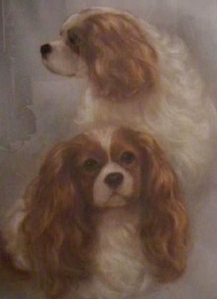 Portrait of Song and Dance - Cavalier King Charles Spaniels