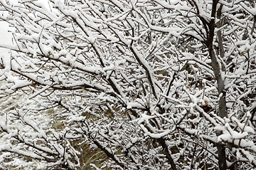 Snowy Day - on way from East Canyon to Morgan City, Utah