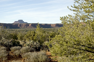 Fry Canyon, Utah