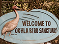 Okhla Bird Sanctuary, Noida, India