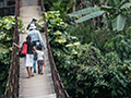 The Swinging Bridge, Kitulgala, Sri Lanka