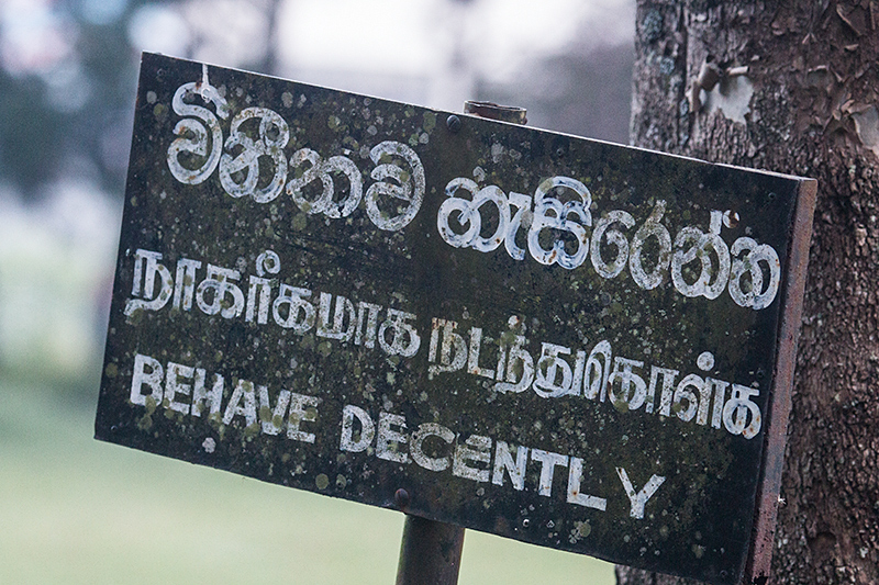 Behave Decently, Victoria Park, Nuwara Eliya, Sri Lanka