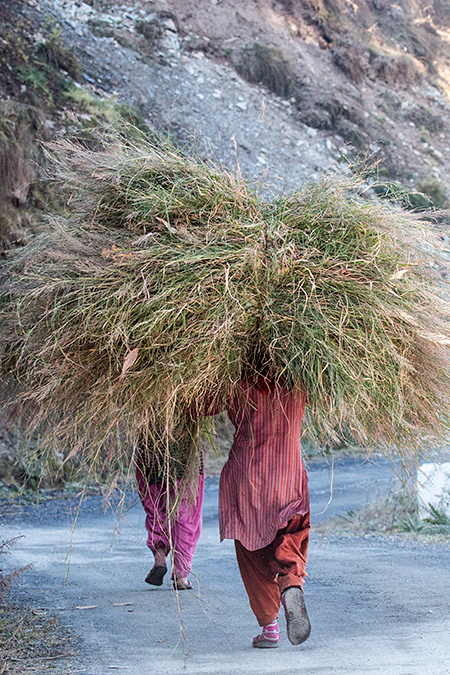 On Binayak Road from Pangot to Binayak