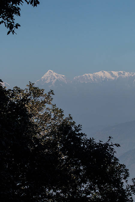 Himalayas, En Route to Pangot, India