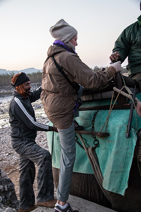 Joan getting on elephant, Tiger Camp, India