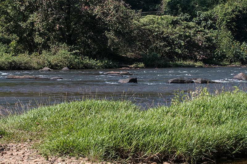 Kelani River, Kitulgala, Sri Lanka