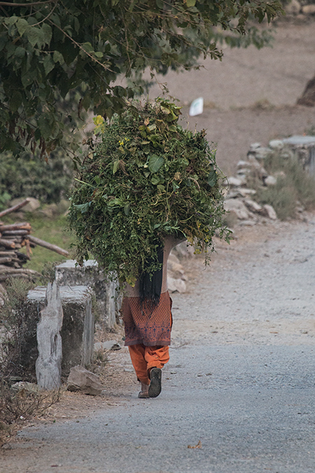 Local Woman, Naintal, India