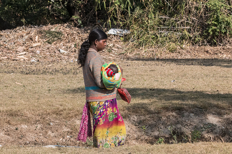 Woman Walking, Near Tiger Camp, India