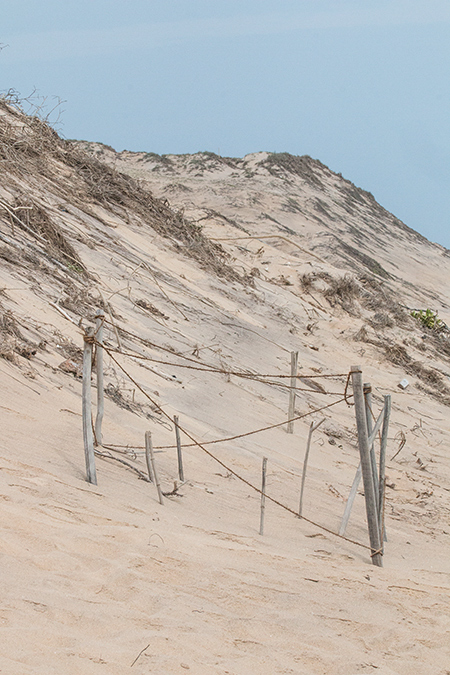 Marine Turtle Nest, Grounds of Jetwing Yala, Sri Lanka