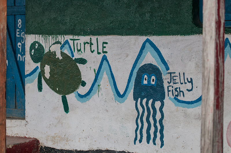 Turtle and Jellyfish Mural at a School, Pangot, India