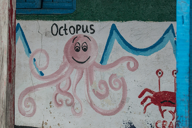 Octupus and Crab Mural at a School, Pangot, India