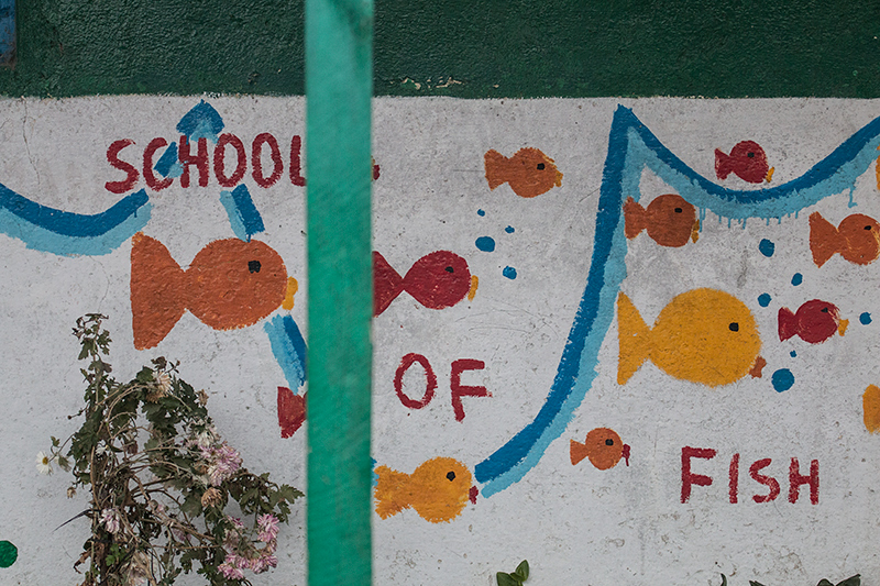 A School of Fish Mural at a School, Pangot, India