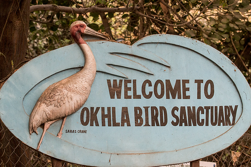 Okhla Bird Sanctuary, Noida, India