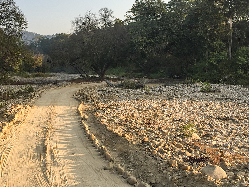 Dirt Road, Jim Corbett National Park, India