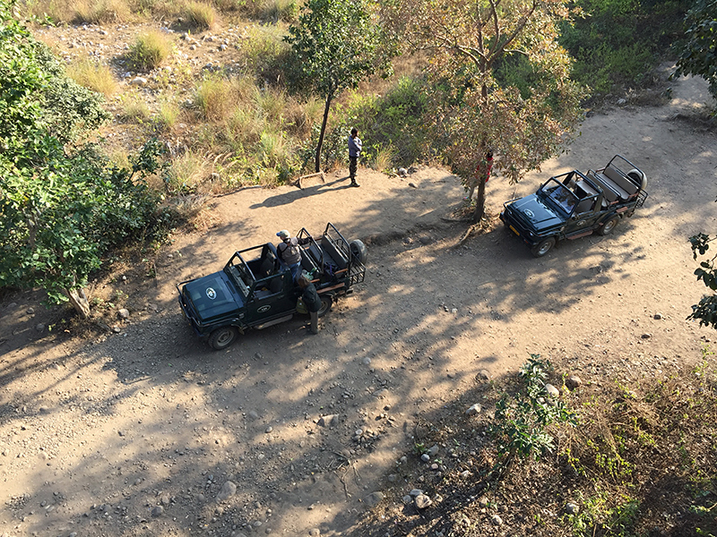 Tiger Safari Vehicles, Jim Corbett National Park, India