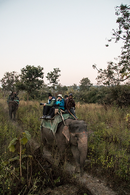 Elephant Safari, Tiger Camp, India