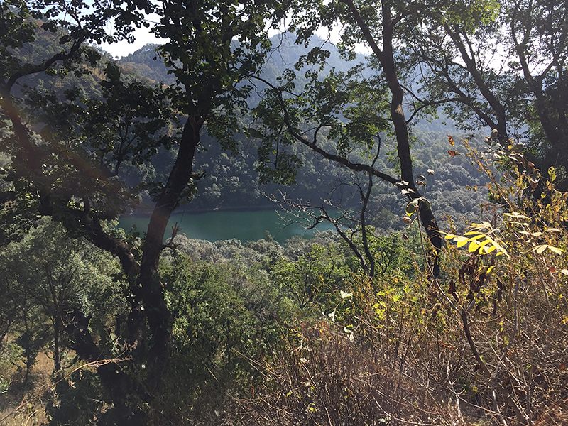 Drive to Sattal Road, Nainital, India