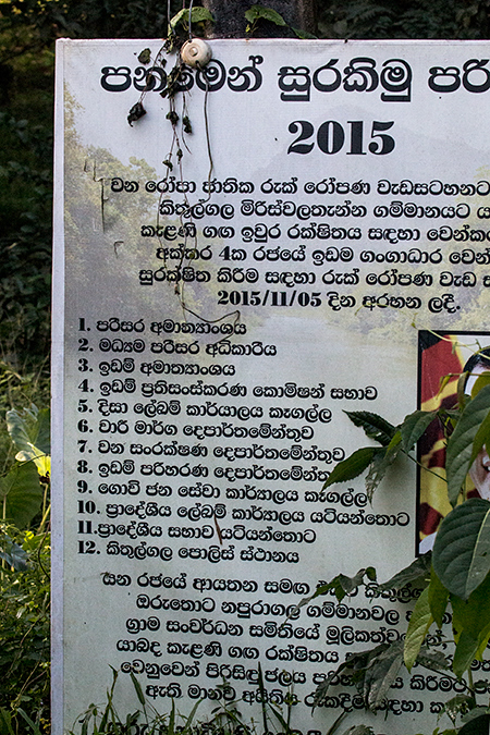 Sinhalese Sign, Kitulgala, Sri Lanka