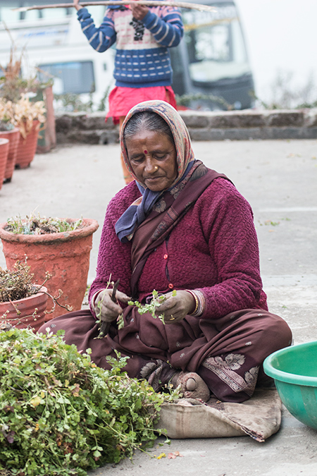 Woman, Pangot, India