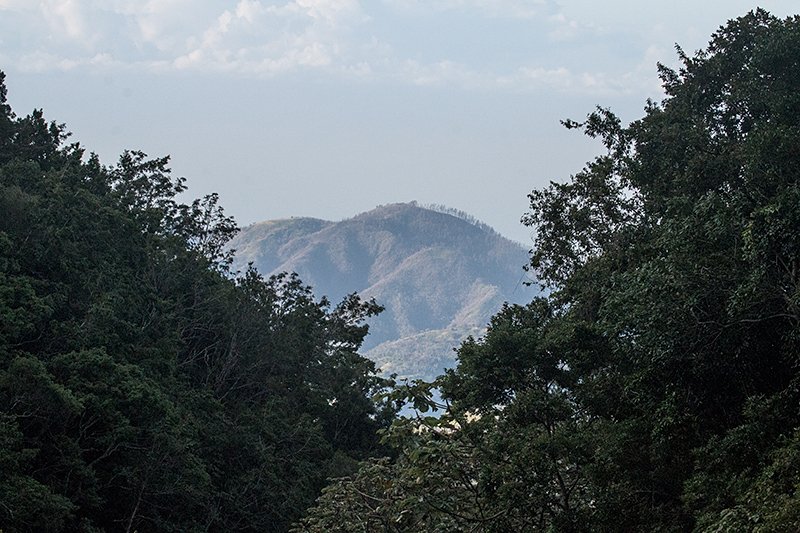 Blue Mountains, Jamaica