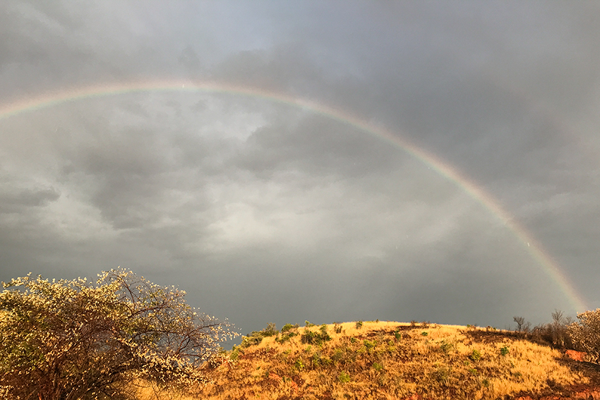 Morning Rainbow, Welcome to My Images of Tanzania