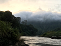 Morning Boat Trip, Taman Negara, Peninsular Malaysia