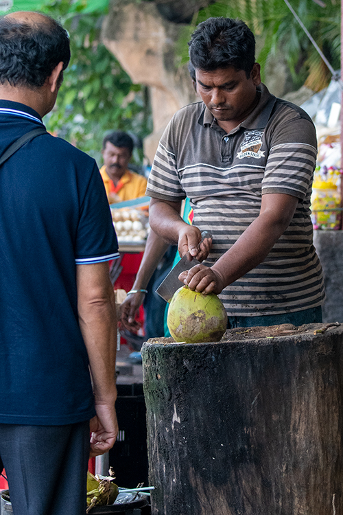 Coconut Vendor, Batu Caves, Gombak, Selangor, Peninsular Malaysia