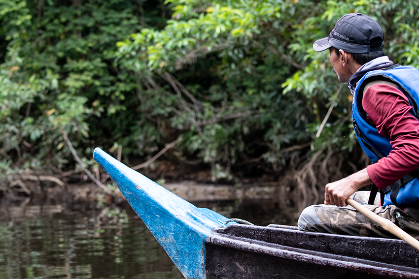 Morning Boat Trip, Taman Negara, Peninsular Malaysia