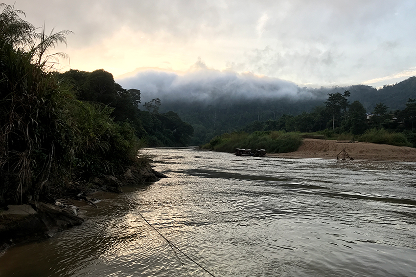 Morning Boat Trip, Taman Negara, Peninsular Malaysia